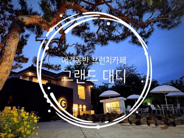 경산 신대부적 실내 애견동반 대형 브런치카페 [그랜드대디] 맛집후기