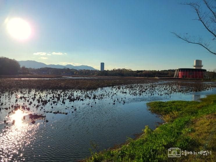 경산 가볼만한곳 감못 산책로 경산명품대추 테마공원