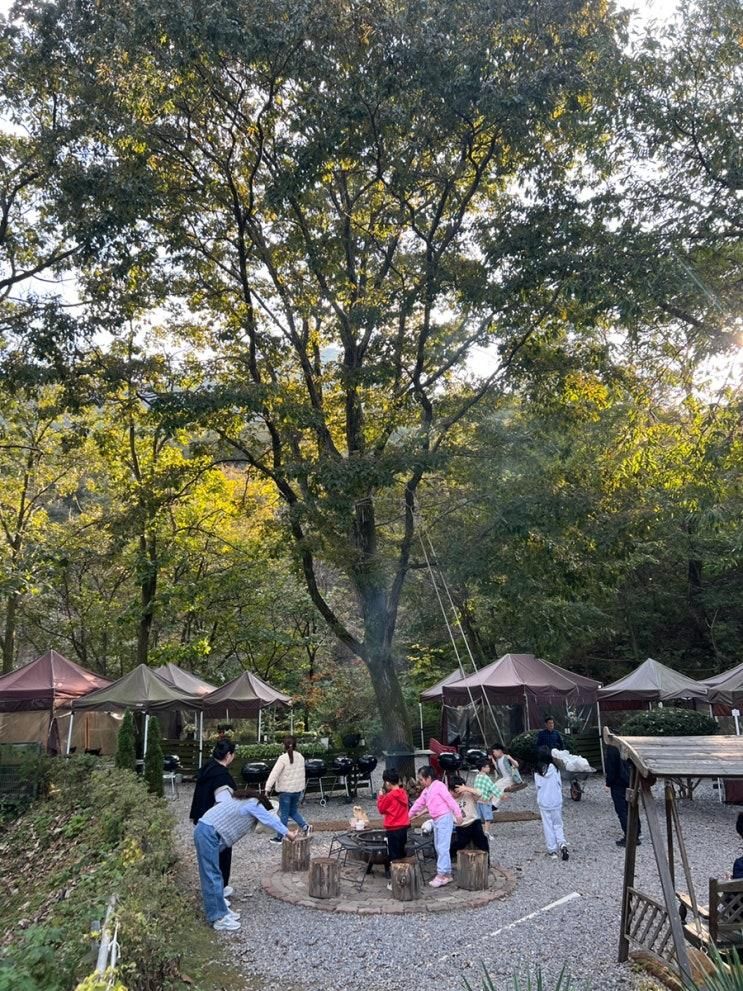 남양주 반디블리 감성캠핑이 가능한 야외바베큐장 할로윈 가을피크닉 후기