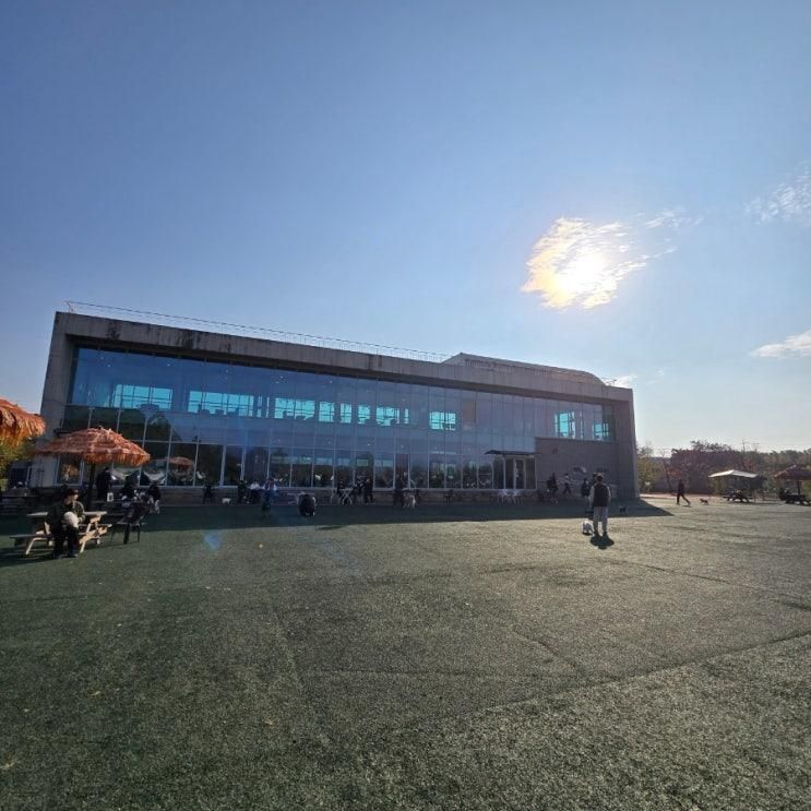 마당넓은 대형 베이커리카페 '오던' 애견동반,아기랑가기좋은곳.주말육아.