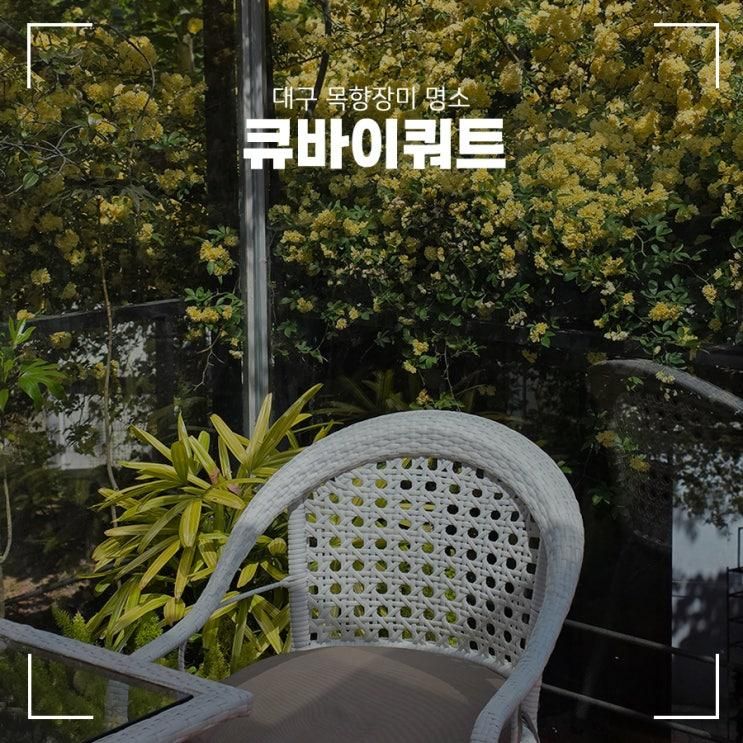 대구 목향장미 명소 '큐바이쿼트' 아기랑 카페