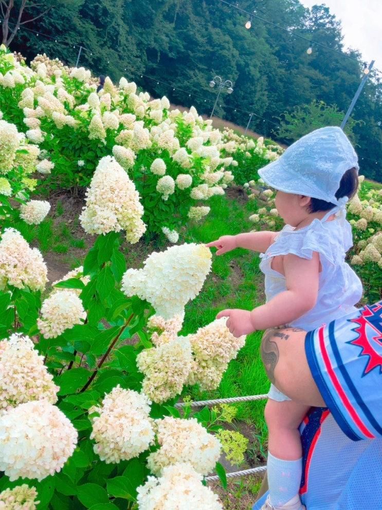 청주 프레이밍 카페 후기