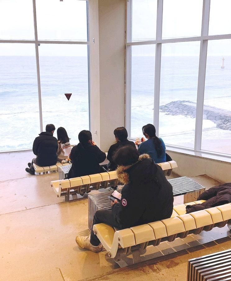 강릉 오션뷰 카페 순두부젤라또 3호점 내돈내산 솔직후기