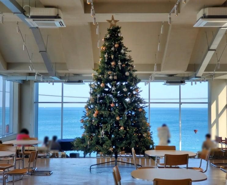 주문진젤라또 오션뷰 디저트, 순두부젤라또 3호점 바다 보며 아이스크림 먹기