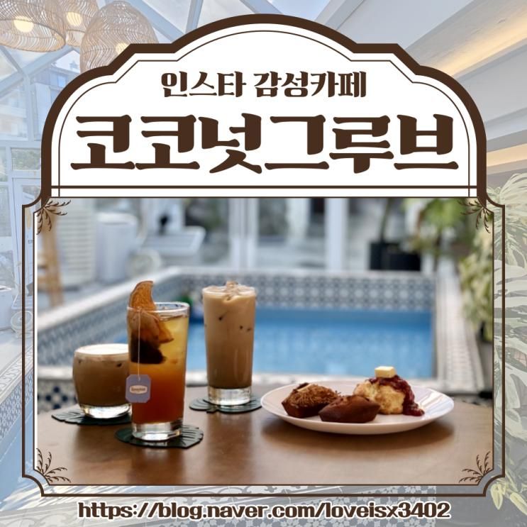 속초카페 휘낭시에가 맛있는 감성카페 - 코코넛그루브