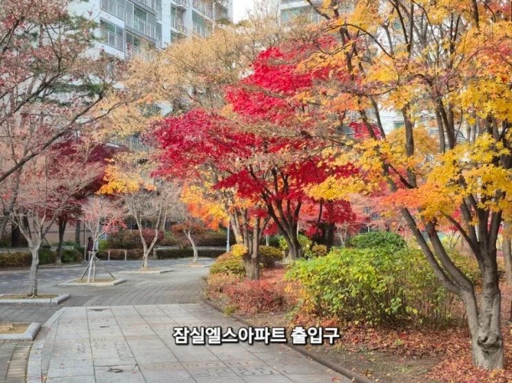 🍁 늦가을 서울 하이킹🥇