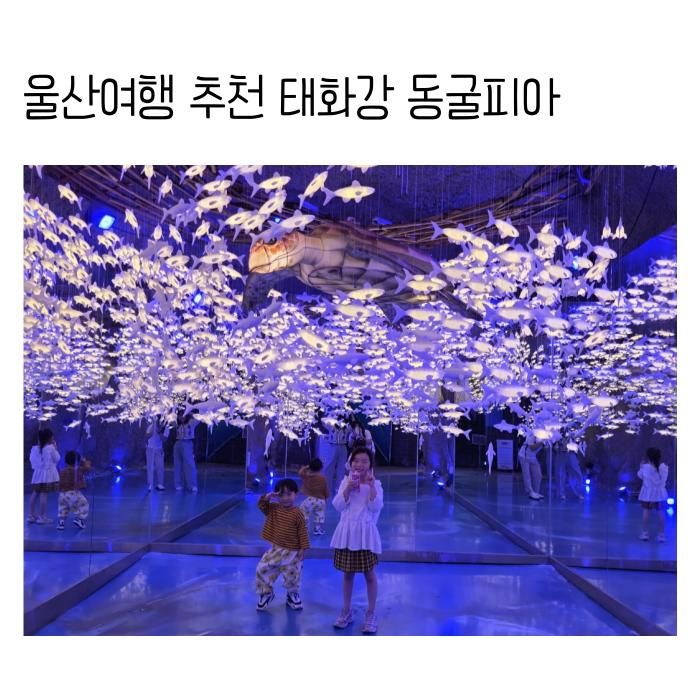 울산 가족여행 코스 울산 태화강동굴피아 주차