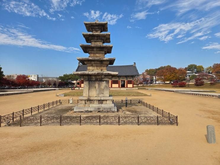가을 부여 여행 추천! 정림사지오층석탑과 정림사지 박물관
