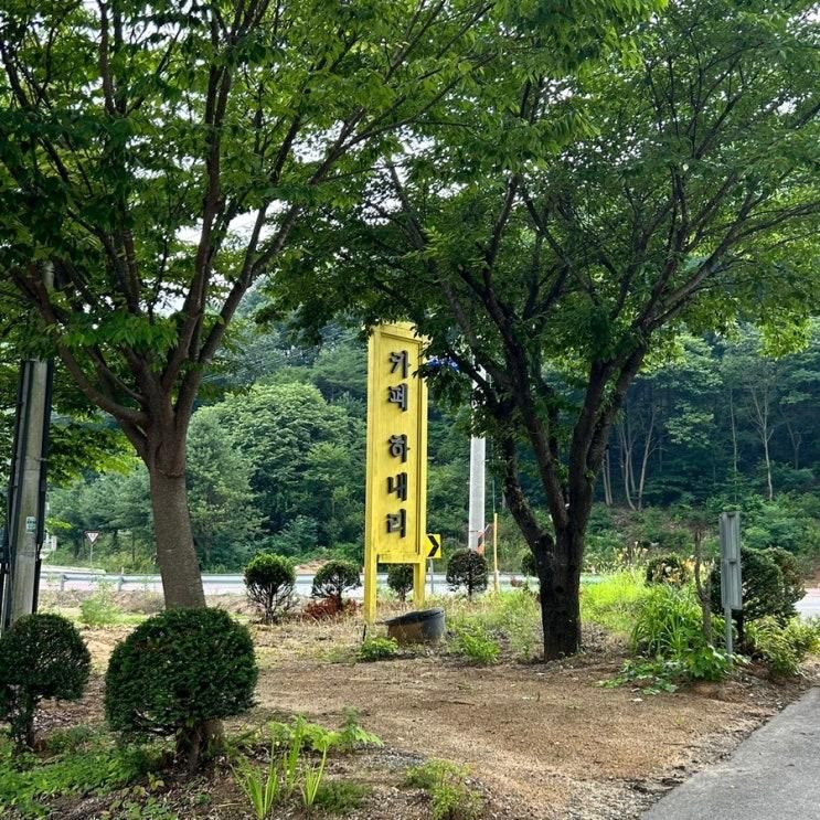 문경 카페 하내리 / 문경 에코월드 근처 카페 / 문경 아이와 같이 가기 좋은 카페 / 문경맛집 /문경 갈만한 곳