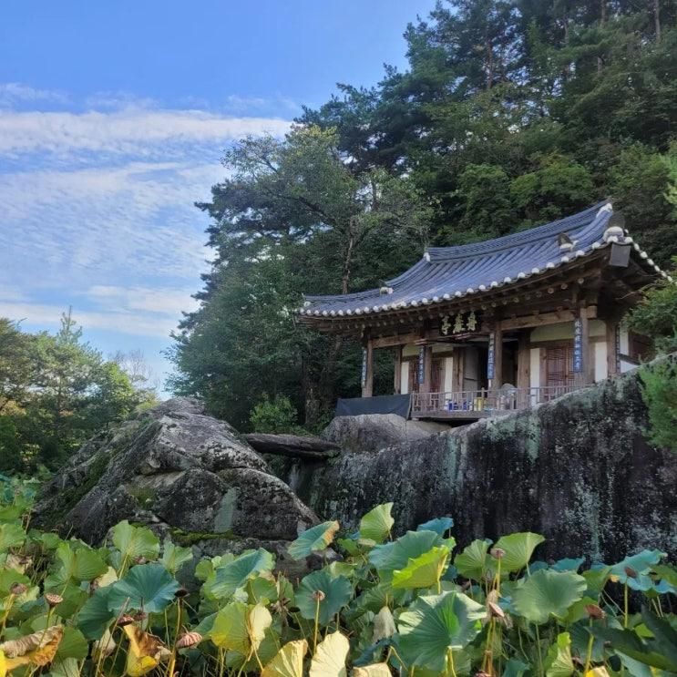 [경북 문경 가볼 만 한 곳] 고즈넉한 사진 찍기 좋은 "주암정"
