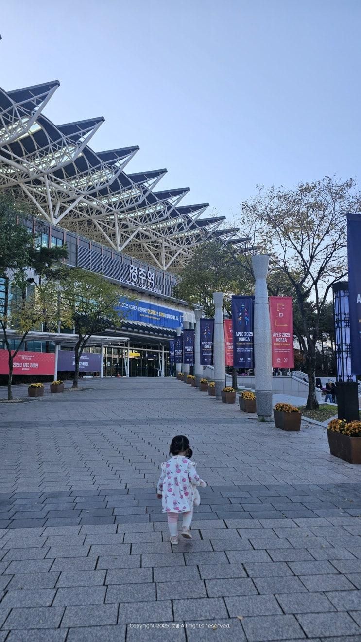 이번주 일상(경주 여행을 곁들인..)
