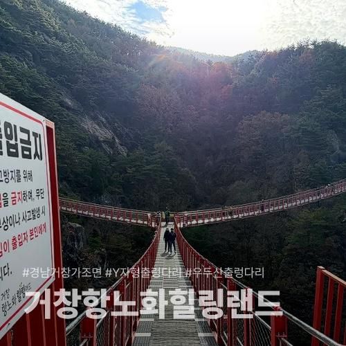 경남 거창 가조면 항노화 힐링랜드 | 우두산 Y자형 출렁다리
