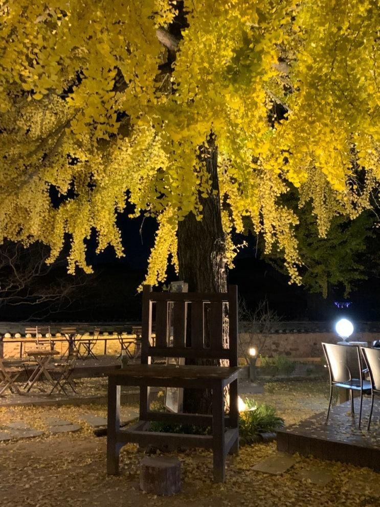 전남 나주 광주 근교 아이랑 가을나들이 가기 좋은 카페 3917마중 + 배양갱 후기