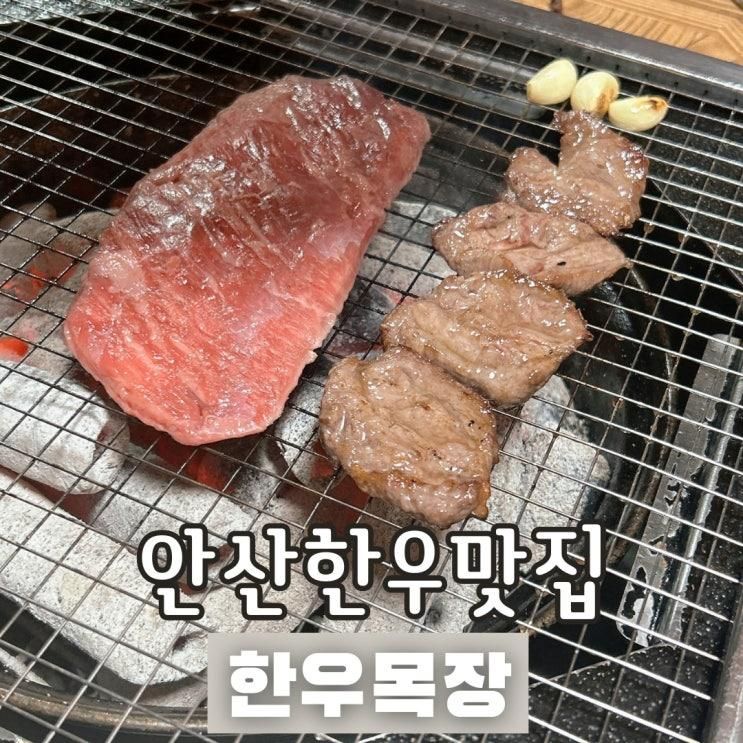 안산한우맛집 한우목장 아이와 함께 한우로 몸보신하고 왔어요.