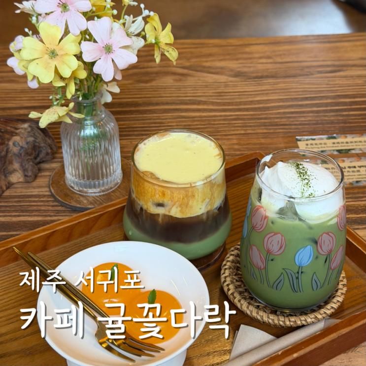 제주 서귀포 감성카페 귤꽃다락 포토존 애견동반가능