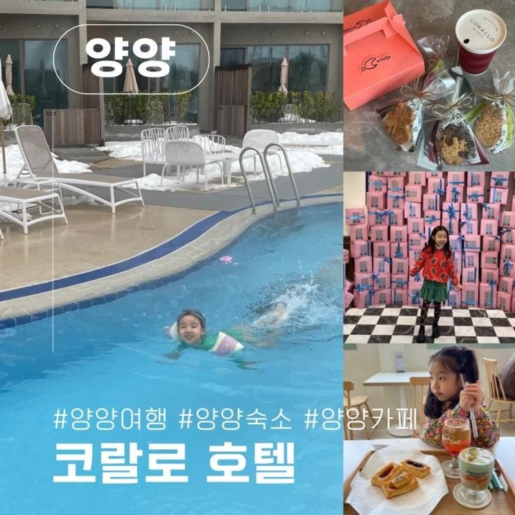강원도 속초 양양 강릉여행 속초카페 웨일즈도넛 양양호텔 코랄로바이조선 사계절 온수풀 수영장 강릉카페 체크이스트