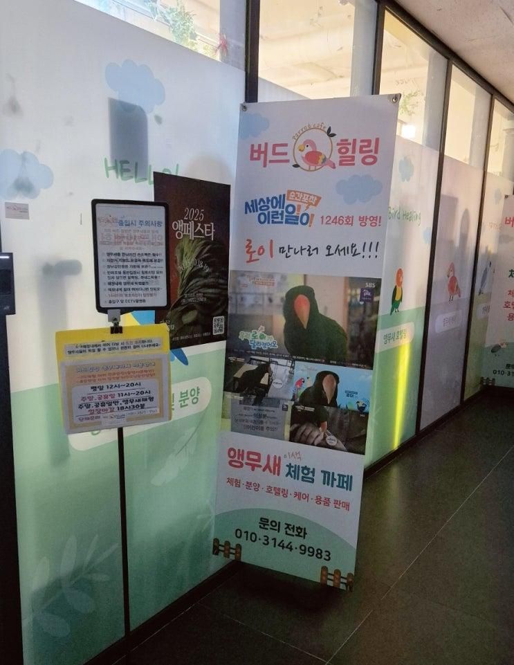 버드힐링 앵무새카페 : 시흥 이색데이트  아이와 특별한 추억 만들기