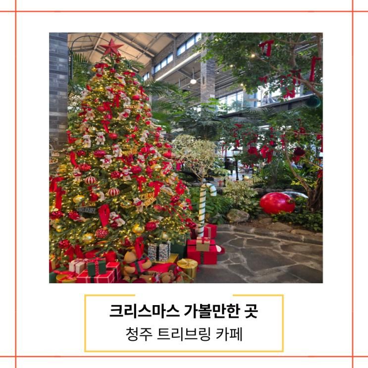 청주카페 트리브링 크리스마스에 가볼만한 곳 충청도 당일치기 여행