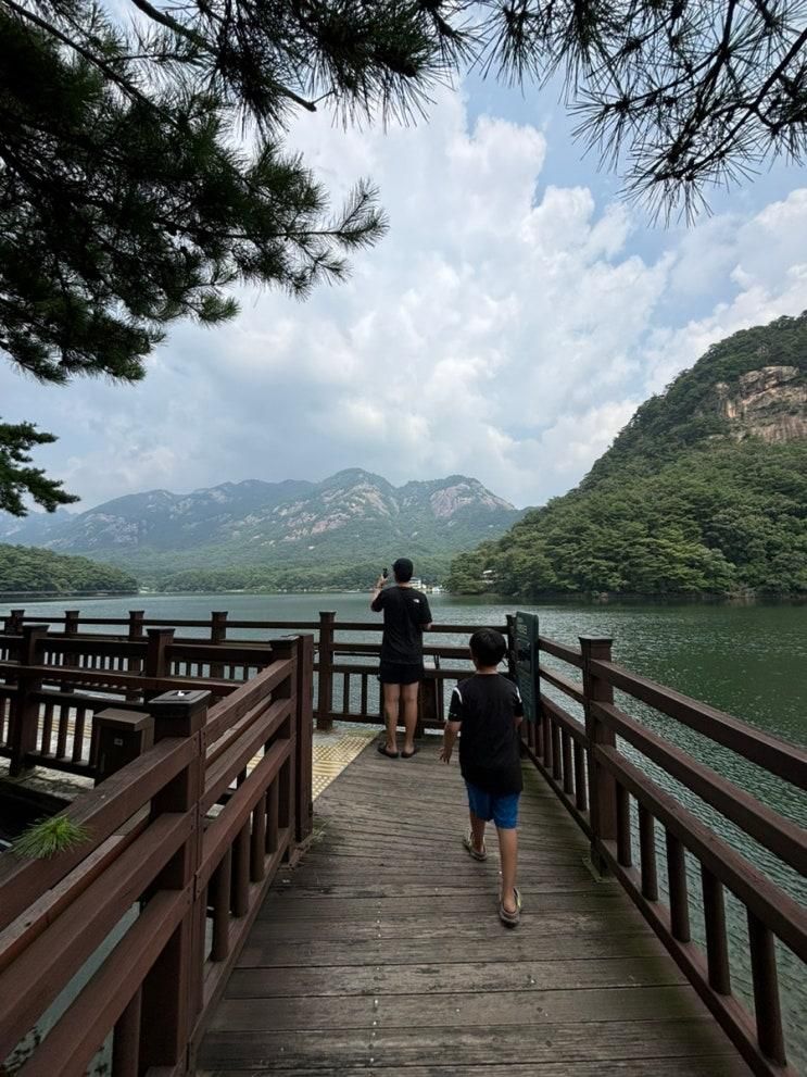 포천 아이와 1박2일 여행 산정호수, 퐁당만두, 사르르목장, 캠프원