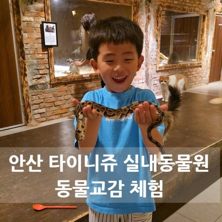 🐾 안산 타이니쥬 실내동물원, 아이와 특별한 동물 교감 체험
