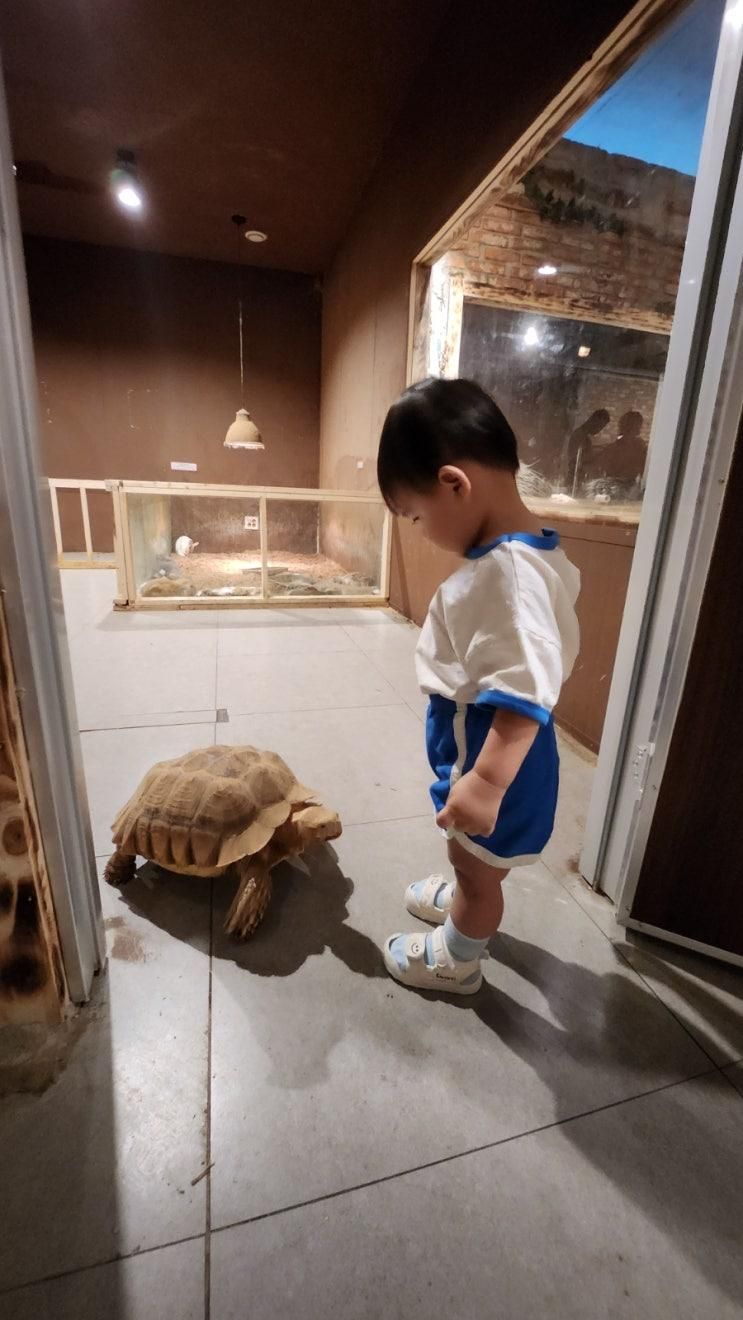 안산 실내 가볼만한곳 타이니쥬! 17개월 아기랑 방문 후기