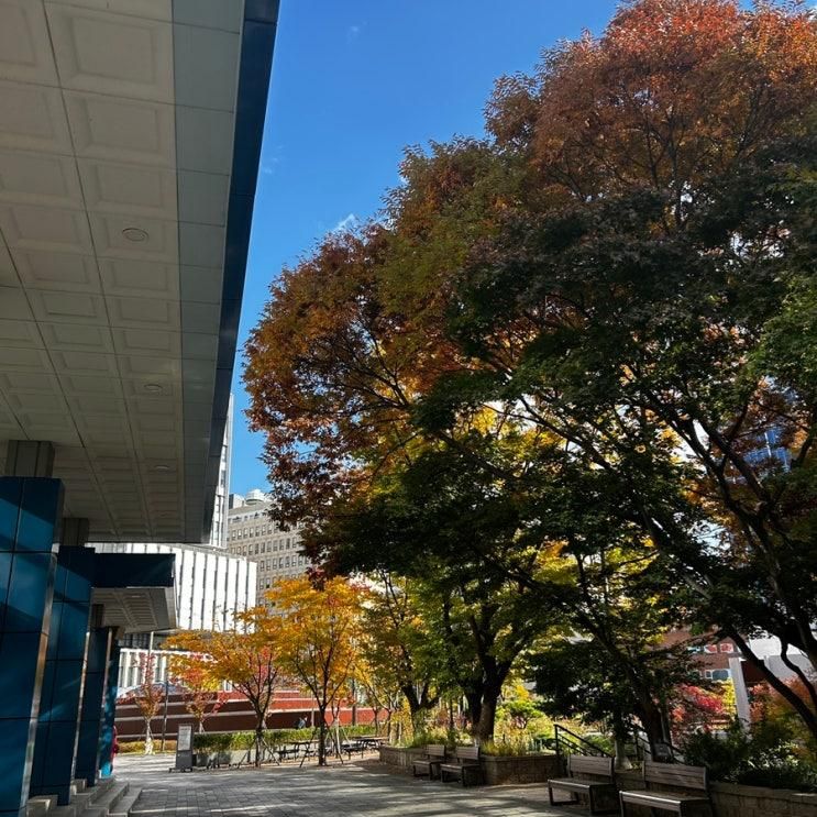 넓고 깔끔한 국립어린이청소년도서관 방문후기│주차, 층별 안내 등