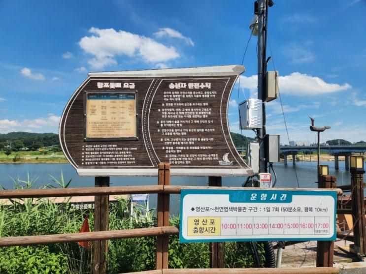 나주 영산강 황포돛배 체험후기