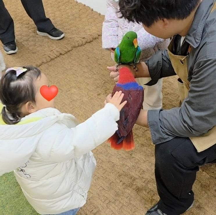 청주 버드앤쥬 | 3살, 6살과 함께 아기동물 천국 청주실내동물원 데이트