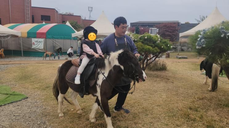 [버드앤쥬] 돌진하는 동물 무섭다다던 아이가, 너무 좋아해서 연속 이틀 가게 된 곳
