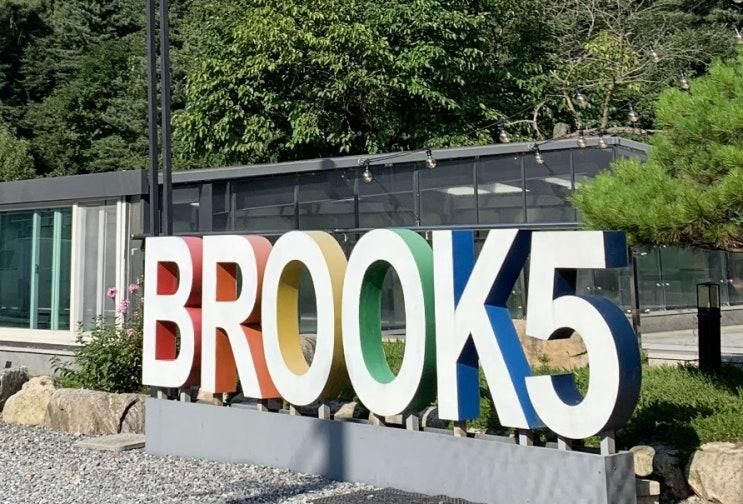 [경기도/가평] 경기도 가평 수영장이 있는 풀빌라, 독채  펜션, BROOK5 후기