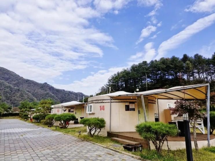 [강원도 홍천 글램핑] 몽골 게르형 이색 글램핑장 '몽고몽고 글램핑'