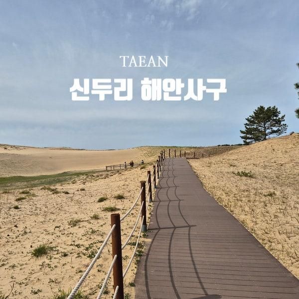 태안 신두리 해안사구 신두리사구센터 방문기