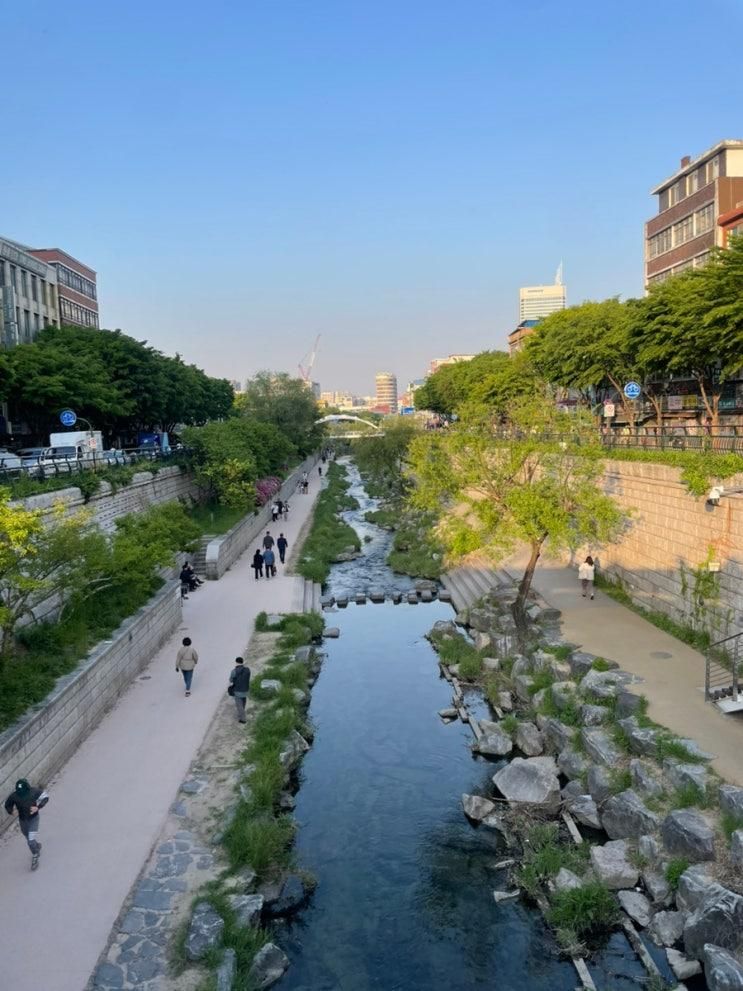 서울 핫플 종로구 가볼 만한 곳, 친구 모임, 데이트 장소 추천, 메레시 뚜벅이의 서울 여행 일지