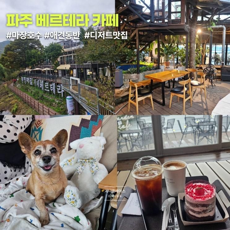 파주 애견동반 카페 베르테라｜마장호수가 보이는 케이크 맛집