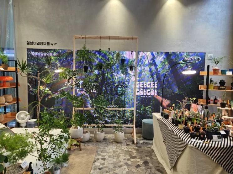 강남역데이트/아이랑 가기좋은 일상의틈 4월 팝업스토어 후기