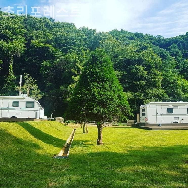 파주 캠핑장 초리포레스트 불멍 셀프 바베큐 캠크닉