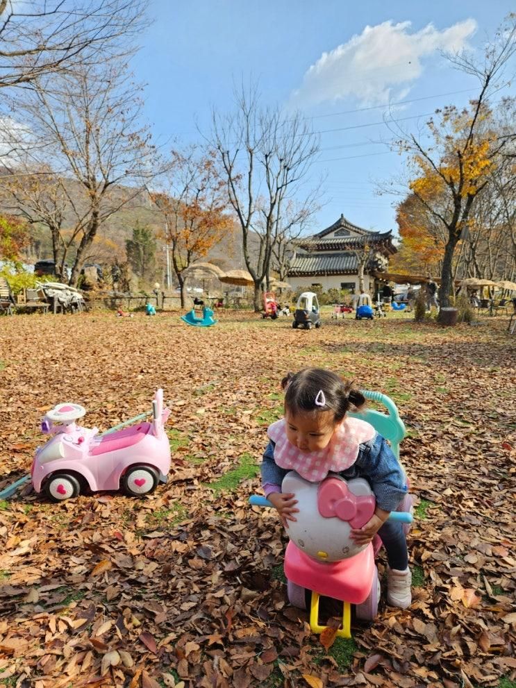 남한산성 계곡카페 '몽쥬이에'| 19개월 아기랑 가을 나들이 후기(여름 물놀이 꿀팁도!)