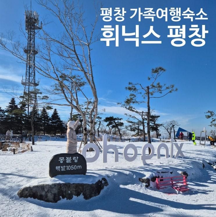 강원도 평창 가족여행 숙소 휘닉스 리조트 평창 가볼만한곳 여행코스