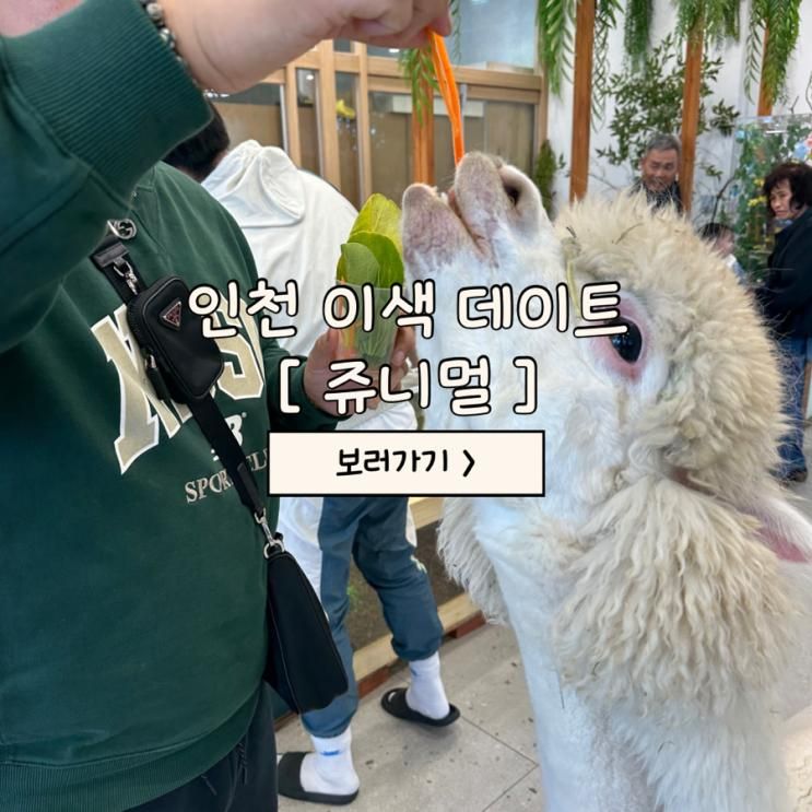 다가오는 추운 겨울, 따뜻한 실내에서 즐기는 이색 데이트 | 인천 이색 데이트 쥬니멀