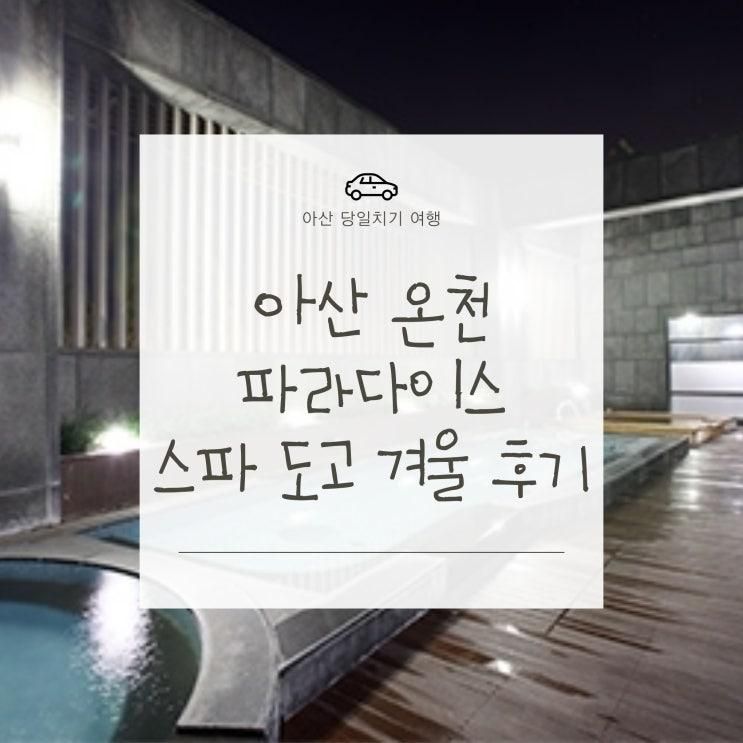 아산 온천 파라다이스 스파 도고 겨울 후기 | 아산 가볼만한 곳 아산맛집 아산카페