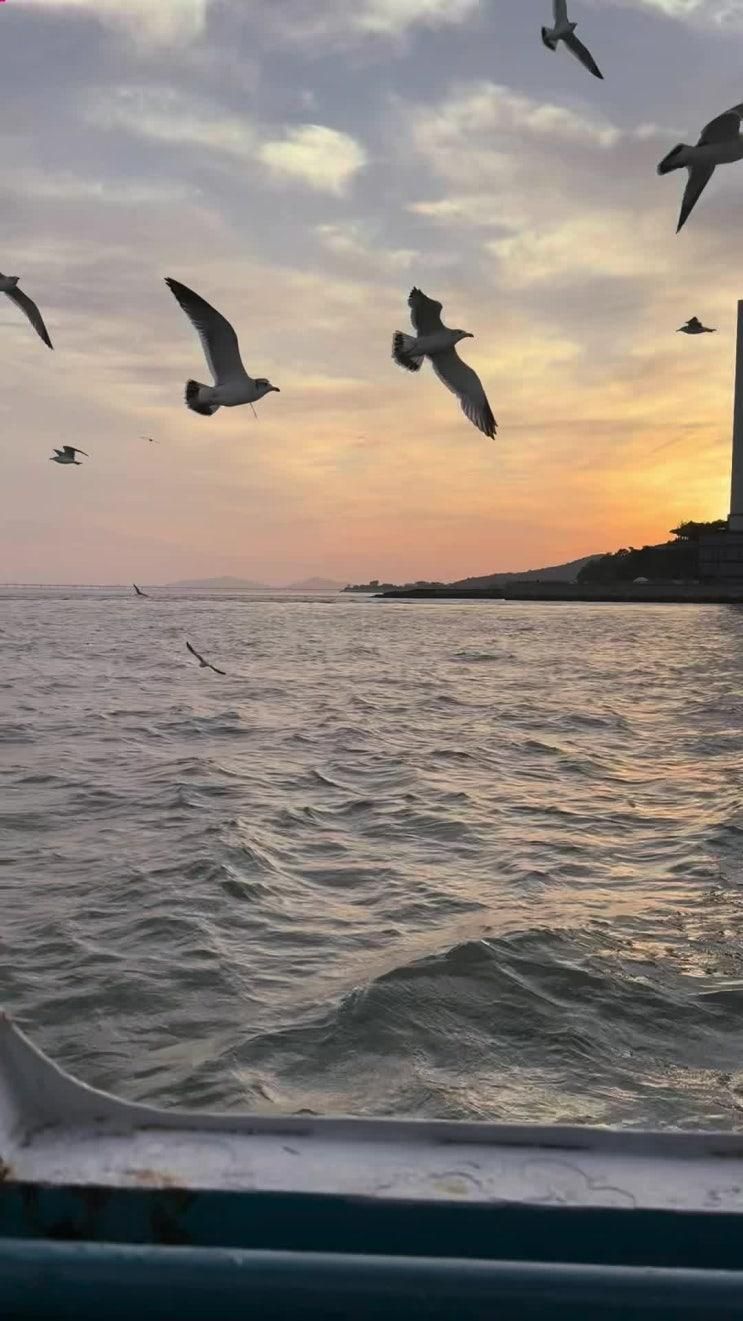 “보물섬아동복 쇼핑부터 유람선까지! 인천 영종도 가족나들이 완벽 코스🌅