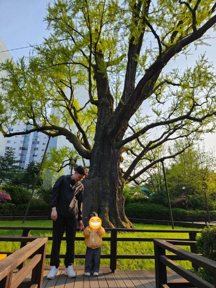 도봉구 아기랑 나들이 기록: 원당샘공원과 한옥도서관 방문