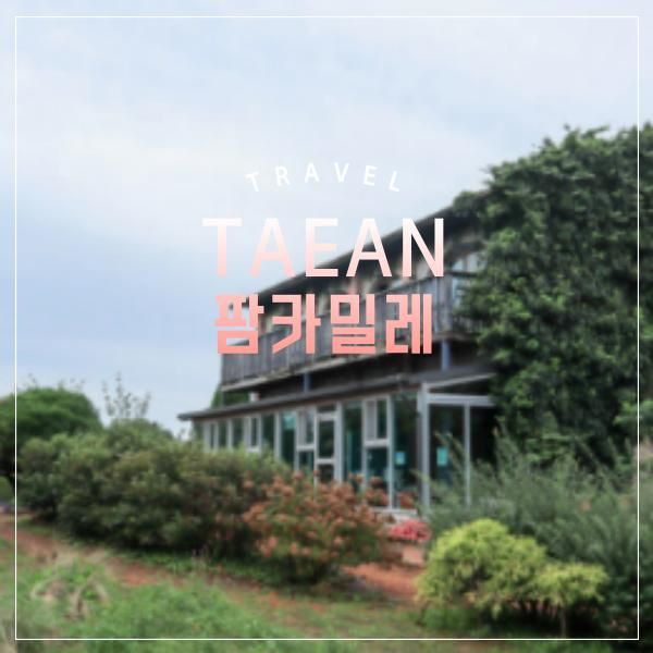 태안 팜카밀레 11월 여행기 허브향 가득한 정원에서 보내는 힐링의 하루