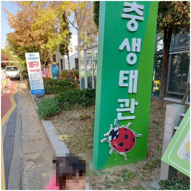 구리시 곤충생태관 / 경기도 아이와 가볼만한 곳 / 무료체험 / 교육 예약