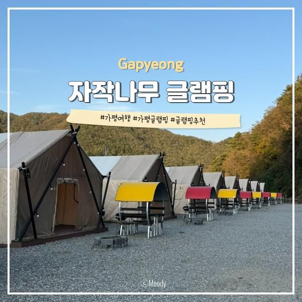 계곡에 수영장까지 있는 가평 자작나무 글램핑 추천 내돈내산 우정여행