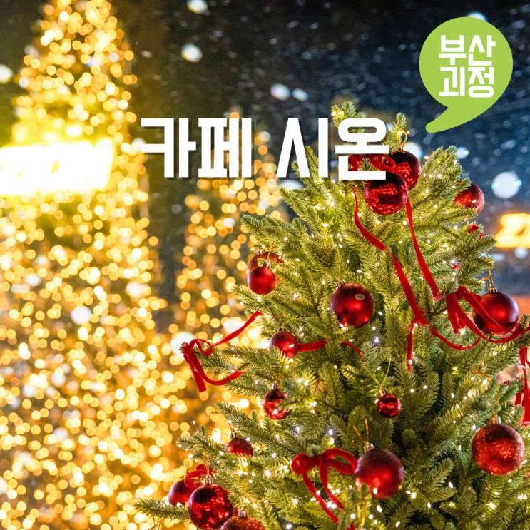 부산 눈내리는 카페 시온 괴정 트리 대형 카페 아이랑 갈만한곳