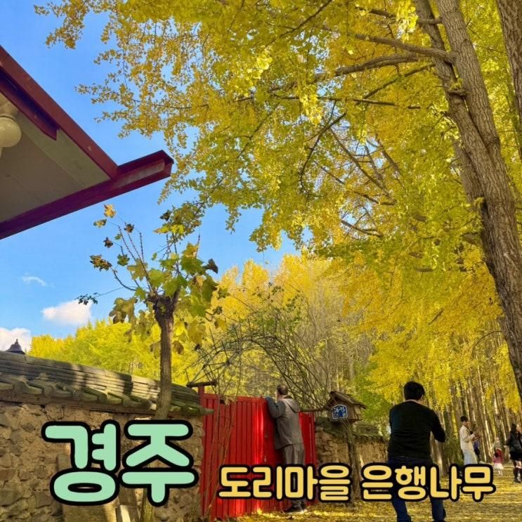 경주 단풍 도리마을 천년숲정원