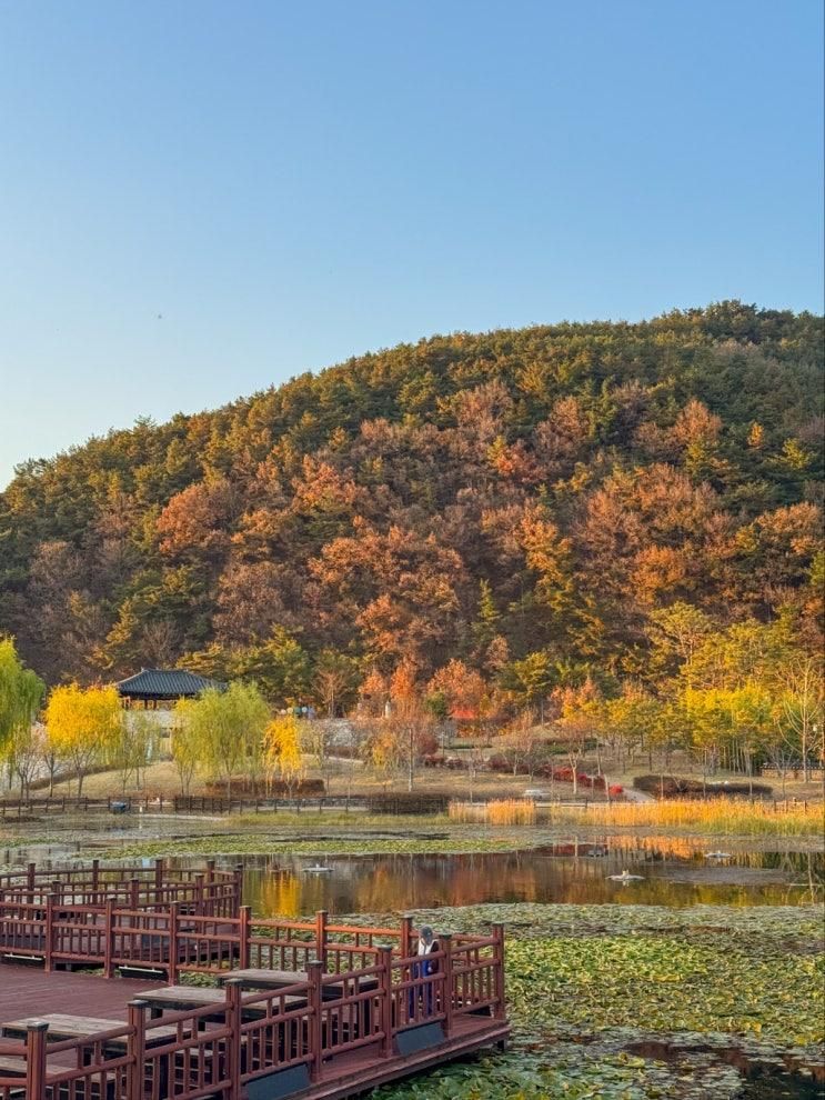 고령 대가야생활촌 나들이 아이랑 어린이과학관 놀이