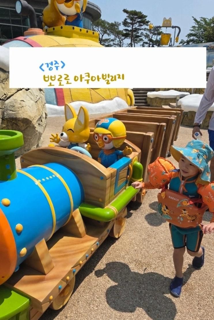 43개월 아이와 경주여행시 뽀로로 아쿠아 빌리지 강추