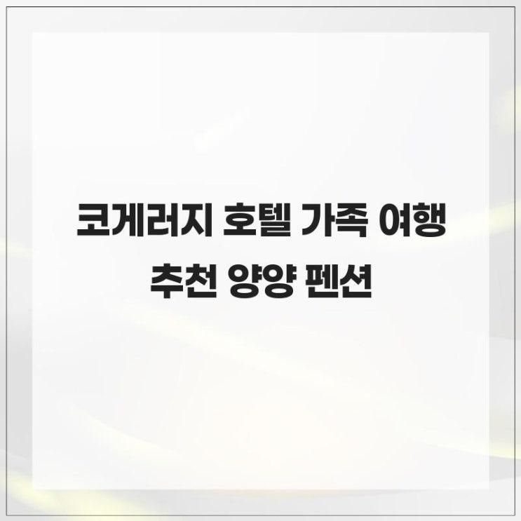 코게러지 호텔 가족 여행 추천 양양 펜션